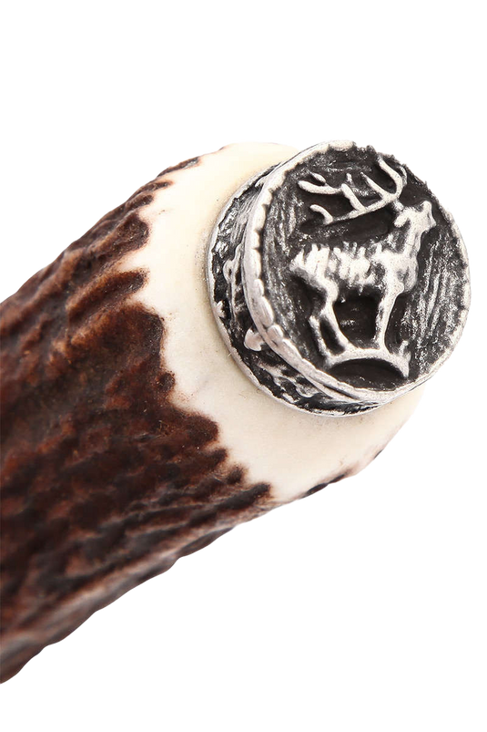 _BRAUN