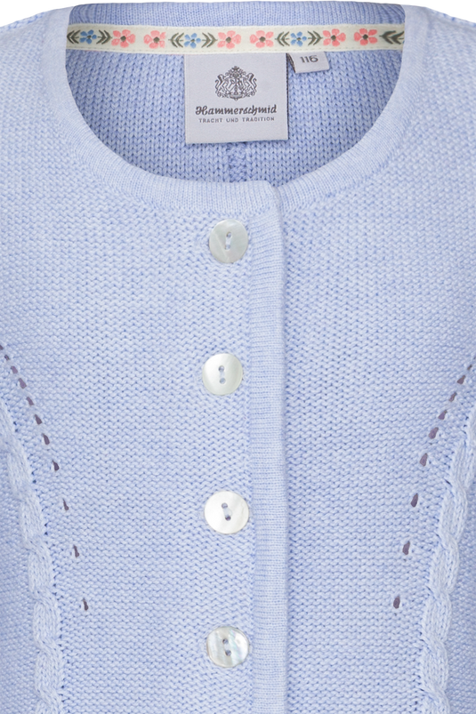 _41-HELLBLAU